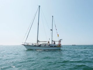 Velero Oceanico Oportunidad