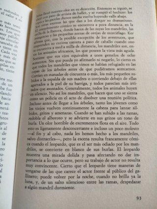 Novela de viaje y aventura No hay sitio en el Arca