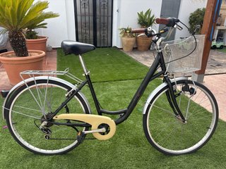 Bicicleta Urbana Clásica Paseo