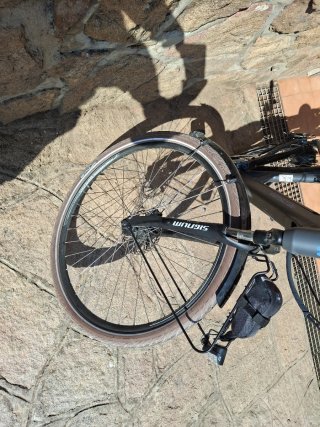 Bicicleta Eléctrica Paseo