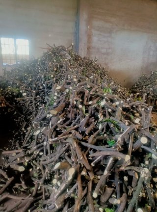 VENTA DE LEÑA PARA ESTUFAS Y CHIMENEAS