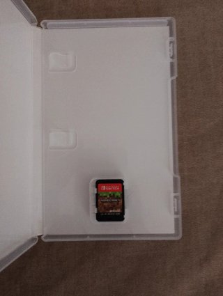 Minecraft Nintendo Switch