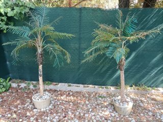 Planta artificial decorativa