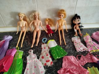 Lote Muñecas tipo Barbie y Accesorios