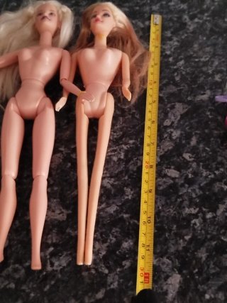 Lote Muñecas tipo Barbie y Accesorios