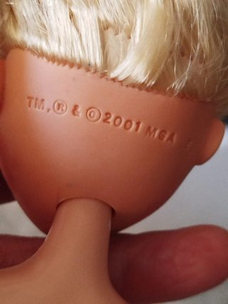 Lote Muñecas tipo Barbie y Accesorios