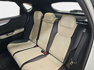 Lexus NX 450h+ F Sport 4WD