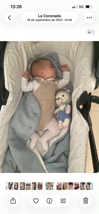 Saco capazo/cuna con capucha y orejas