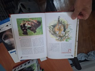 Enciclopedia, La sociedad Animal 12 Libros y DVD
