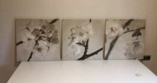 3 Cuadros Orquídeas Ikea