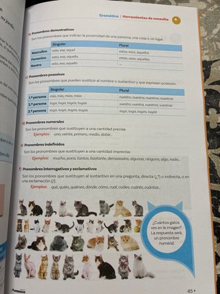 Lengua castellana y literatura.Caja de herramienta