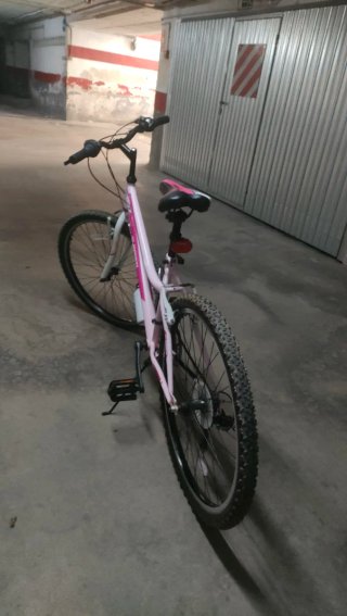 Bicicleta rosa JLWenti