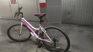 Bicicleta rosa JLWenti