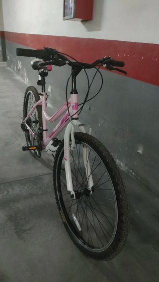 Bicicleta rosa JLWenti