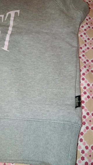 Sudadera Everlast Gris estilo Vintage