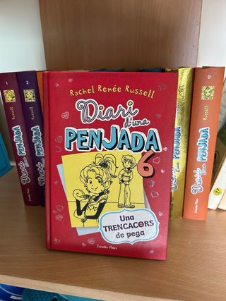 9 llibres del Diari d’una penjada en català.