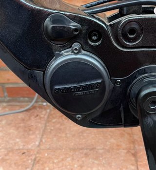 Bicicleta Eléctrica Giant Talla L