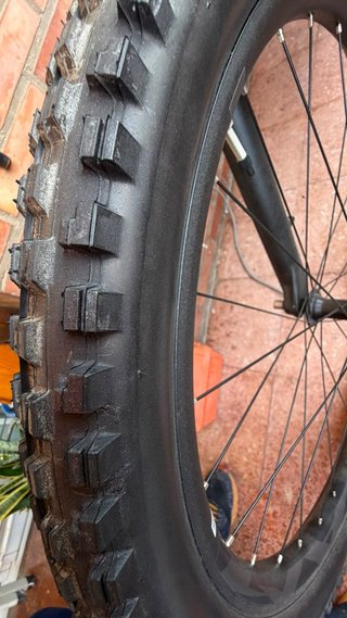 Bicicleta Eléctrica Giant Talla L