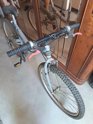 Bicicleta de montaña Topbike