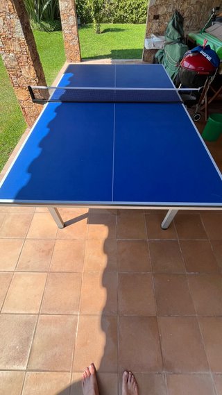 Mesa Ping Pong Pangea 822i Limited