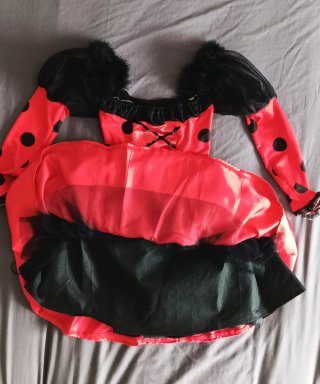 Disfraz Mariquita Niña Talla 110-120cm.