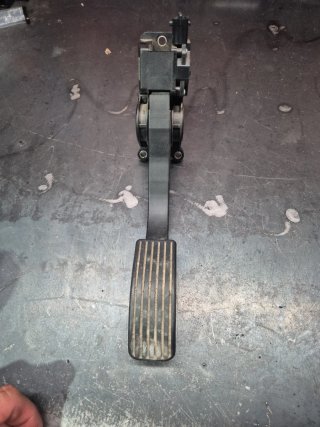 Pedal Acelerador Nissan Terrano Bosch