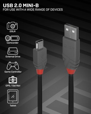 LINDY Cable Mini USB 36725 5 m Negro