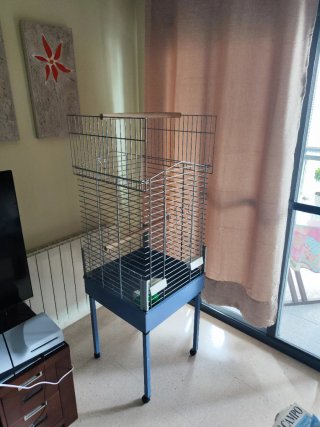 Jaula para loro azul y plateada