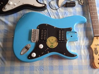 Piezas Guitarra Eléctrica Stratocaster