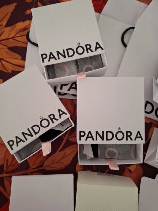 Lote de Cajas y Bolsas Pandora