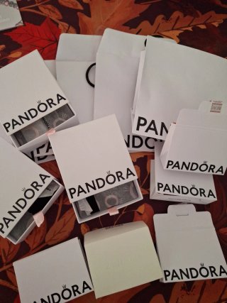 Lote de Cajas y Bolsas Pandora