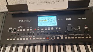 Teclado Korg PA300