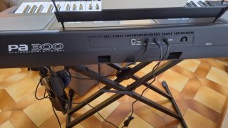 Teclado Korg PA300
