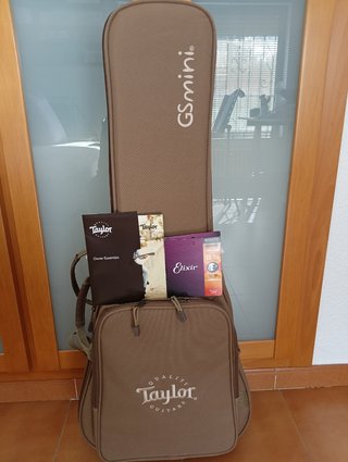 Guitarra Taylor GS Mini Koa