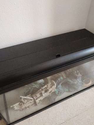 Acuario para peces