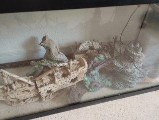 Acuario para peces