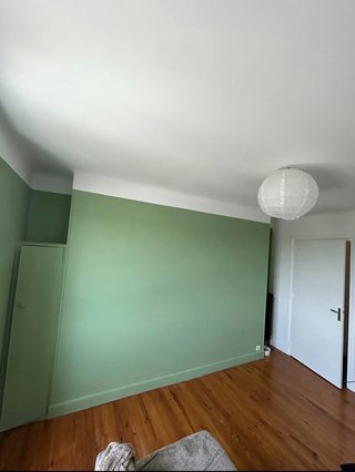 PINTOR MUY ECONOMICO Y PROFESIONAL