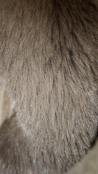 Chaleco beige con cuello de pelo