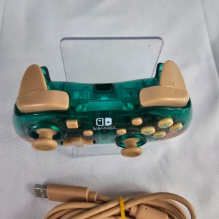 Animal Crossing New Horizons Switch + Controller