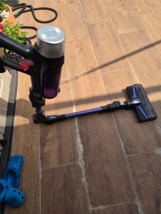 Rowenta X-Force Flex 9.60 Aspiradora