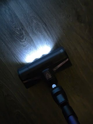 Rowenta X-Force Flex 9.60 Aspiradora