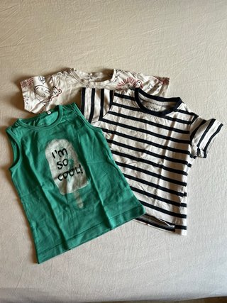 Lote Ropa Bebé 18-24 Meses