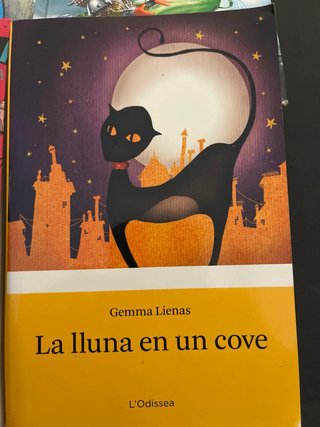 Novela juvenil libros