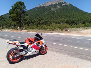 Honda CBR 600 F4i Sport - Moto Deportiva