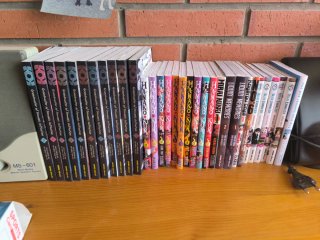 Mangas Variados