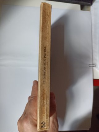 Libro "Il mondo mia patria",Teresio Bosco,SEI 1983