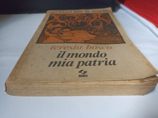 Libro "Il mondo mia patria",Teresio Bosco,SEI 1983