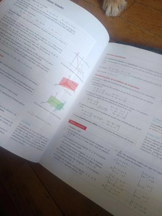 Matemáticas de ciencias sociales 2 bach