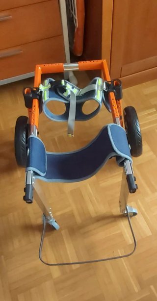 Carrito, silla y rampa  para perro mediano