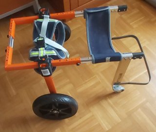 Carrito, silla y rampa  para perro mediano